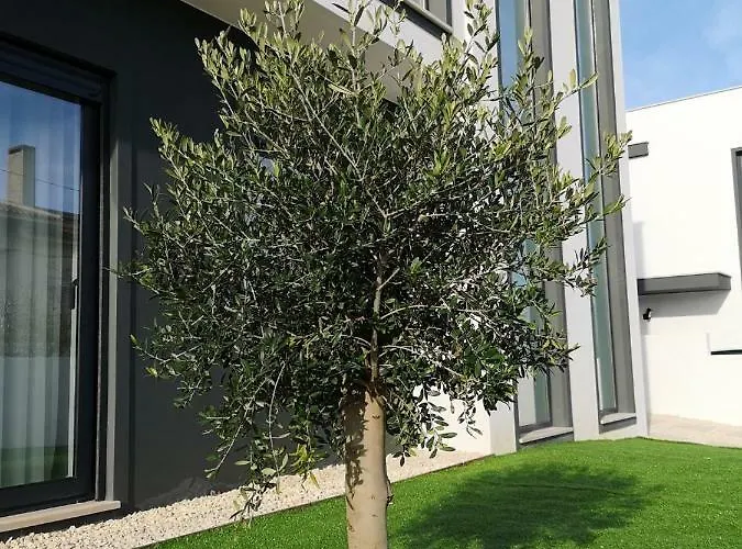 Obidos House With Private Pool *